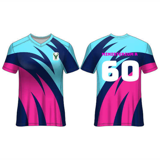 All Over Printed Customized Sublimation T-Shirt Unisex Sports Jersey Player Name & Number, Team Name And Logo. 1927290713